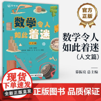 店 数学令人如此着迷 人文篇 数学科普书 数学科普与知识点应用相结合 数学知识书籍 综合运用知识解决实际问题