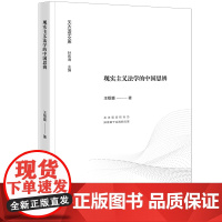 现实主义法学的中国思辨 王绍喜著 法律出版社 正版图书