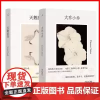 张悦然小说代表作[2册]天鹅旅馆+大乔小乔 理想国 大乔小乔收录全新短篇法力 阿拉伯婆婆纳 电影乔妍的心事 许我耀眼