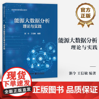 店 能源大数据分析理论与实践 能源数智管理精品教材 能源大数据应用实践书籍 渐令 王信敏 编著 电子工业出版社