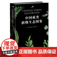 正版书 中国蕨类植物生态图鉴 兼具学术性与科普性的蕨类植物彩色生态图鉴 好奇心图鉴系列 王波等主编 重庆大学出版社