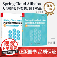 店 Spring Cloud Alibaba大型微服务架构项目实战 上下册 十三 著 微服务架构项目落地实战书籍 洞