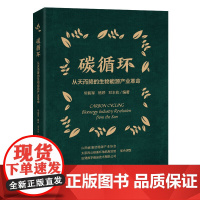 碳循环:从天而降的生物能源产业革命 常毅军 杨婷 邓丰收 著 中国经济出版社