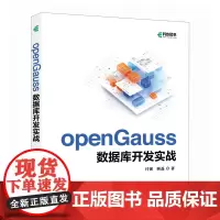 openGauss数据库开发实战 开源数据库系统开发AI人工智能数据库核心技术计算机书籍