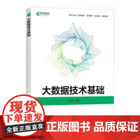 大数据技术基础 Python大数据分析Kafka数据处理Redis大数据平台计算机书籍