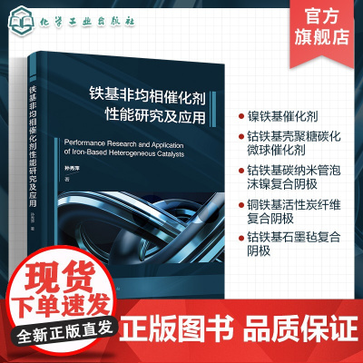 铁基非均相催化剂性能研究及应用 铁基非均相催化剂的制备 表征 性能研究 催化反应机理及应用 催化 水处理等领域科研人员应