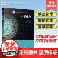 大学化学 罗洁 化学反应基本原理 溶液与离子平衡 电化学基础 高等学校非化学化工类各专业应用教材 工程技术人员应用参考书