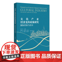 文化产业经济支持政策研究:国际经验与启示 章玉贵 北京大学店正版