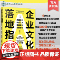 企业文化落地指南 顶层设计 模型工具 实操要点 案例解析 企业文化管理实操指南 500强企业文化管理案例 团队潜能激发企