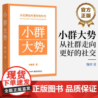 店 小群大势 从社群走向更好的社交 魏琪 个人品牌打造 零基础入门社群运营 人机协作技巧 社群管理 社群流量运营变现书