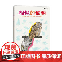 浪花朵朵相似的动物 7岁以上儿童科普图画书 大开本全彩手绘插图 有趣的相似动物鉴别指南 培养抓住关键特征的思维能力 童书