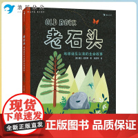 浪花朵朵老石头:地球诞生以来的生命故事 5-8岁科普绘本图画书 探索地球历史与生命意义 地球历史哲学启蒙 童书