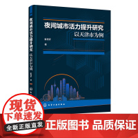 夜间城市活力提升研究 以天津市为例 城市活力提升典型个案 天津昼夜城市活力流动模式时空特征研究 城市活力提升策略夜间城市