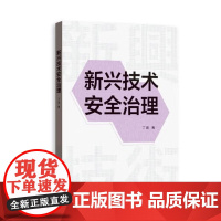 预售正版 新兴技术安全治理 丁迪 著 格致出版