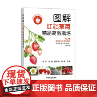 图解红颜草莓精品高效栽培(特色果品提质增效技术丛书) 323247 2024.09 祝宁,宗静,陈怀勐,孙健