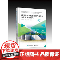 店 新型电力系统下储能产业发展与优化配置研究 刘大正 储能装机规模测算优化布局研究书 市场化发展产业政策机制建议书