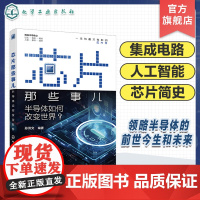 芯片那些事儿 半导体如何改变世界 半导体简史 芯片简史 半导体领域技术发展概况 芯片产业爱好者参考书 趣味生动的芯片科普