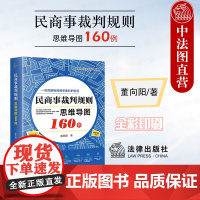 中法图正版 2024新 民商事裁判规则思维导图160例 全彩印刷 诉讼可视化 董向阳 图解民商事裁判智慧律师公司法务用书