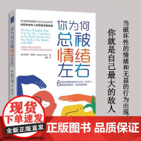 你为何总被情绪左右 6周学会理性情绪行为疗法 重塑思维模式 告别消极情绪 心理学 心理健康书籍 心理咨询师必读书 青豆书