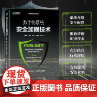 数字化系统*加固技术 操作系统Windows网络*数据库Kubernetes计算机网络技术书籍