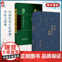 全2册中医大辞典+中国针灸穴位辞典 中国医药科技出版社 针灸穴位名针灸方词目穴位取穴针灸方法功效主治十四经穴位图 中医学