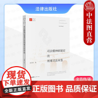 中法图正版 2024新 司法精神病鉴定的刑事司法审查 金昌伟 明理与致用丛书 司法精神病鉴定证据精神病司法鉴定实务理论