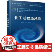 危险化学品安全丛书 化工过程热风险化 陈网桦 陈利平 工过程风险识别方法不同事故后果分析模型 反应过程热风险评估的基本理