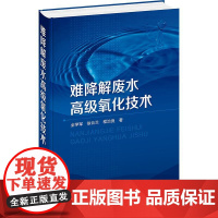 难降解废水高级氧化技术 重点讲解了TiO2光催化液膜光电催化电化学氧化臭氧氧化等高级氧化技术 供环境等相关领域从业人员参