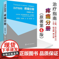 治疗指南疼痛分册 原著第6版 疼痛临床诊断治疗 疼痛评估急性慢性疼痛原因 药物治疗介入治疗医学书籍 疼痛科医生工