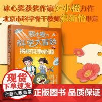 罗小麦的科学大冒险 揭秘物理与能源 安小橙 冰心奖获奖作家力作 9-15岁中小学生课外科普阅读图书籍 儿童青少年科幻小说