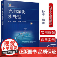 Y太阳能利用前沿技术丛书 光电净化水处理 光电材料在水处理中应用 光电器件水处理新技术光电材料与环境应用97871223