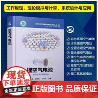 锂空气电池 先进电化学能源存储与转化技术丛书 麦立强 原鲜霞 丁圣琪 锂空气电池设计应用 化学工业出版社 9787122