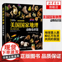 美国国家地理动物奇珍馆 乔尔.萨托 400种令人怦然心动的动物图册图鉴 20年拍摄而成 纸上动物园 博物馆华美