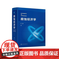 腐蚀经济学 腐蚀行业经济学专著 腐蚀经济基础知识 蚀与腐蚀规律 腐蚀与GDP 腐蚀事故风险预测预防 大专院校腐蚀工程类专