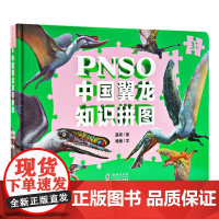 PNSO中国翼龙知识拼图(中国恐龙 恐龙科普)