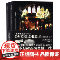 OVERLORD(3王国好汉上下)/不死者之王系列轻小说