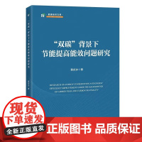 “双碳”背景下节能提高能效问题研究 裴庆冰 著 正版 中国经济/中国经济史 中国经济出版社 978751367938