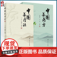 2册中国茶药方+中国茶疗法 2本套装 人民卫生出版社 中医经验精华防病治病食疗茶疗医案历代茶论功能茶疗中药养生茶配方