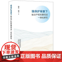 中法图正版 2024新 强保护背景下知识产权刑事司法一体化研究 谢焱 闫淦 知识产权刑事保护法律政策背景实证理论研究 法