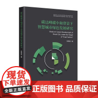 碳达峰碳中和背景下智慧城市绿色发展研究 张静超 著 正版 中国经济/中国经济史 中国经济出版社 9787513679