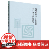 战略性新兴产业政策窗口触发机制研究