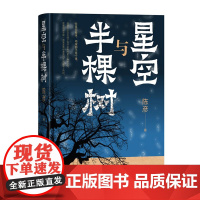 星空与半棵树 装台 主角 喜剧 之后茅奖作家陈彦重磅新作