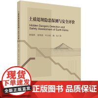 土质堤坝隐患探测与安全评价