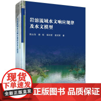 岩溶流域水文响应规律及水文模型