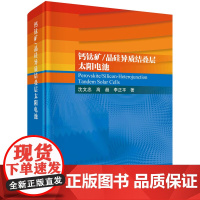 钙钛矿/晶硅异质结叠层太阳电池 沈文忠 高超 李正平 著 晶硅异质结太阳电池研发进展等 科学出版社 新华正版书籍