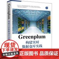 Greenplum构建实时数据仓库实践王雪迎 书计算机与网络书籍