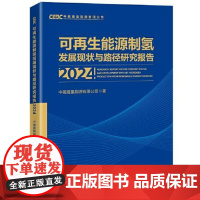 可再生能源制氢发展现状与路径研究报告2024 中国经济出版社