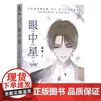 眼中星.3 完结篇