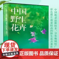 中国野生花卉 大百科全书 中英双语版 精装版 动物植物生物万物百科全书礼物 博物馆大百科全书 科学博物学 天津教育出版社