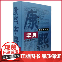 正版 康熙字典(标点整理本) 王引之 校 上海辞书出版社 9787532625086